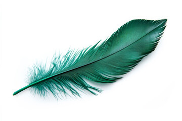 A single emerald green feather with sharp details, gently curving against a clean white background.