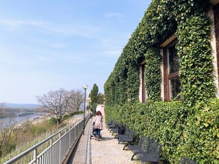 person walking along the promenade