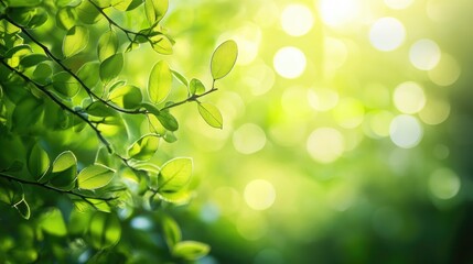 Obraz premium Fresh green background with a subtle bokeh effect, adding a touch of depth and sophistication