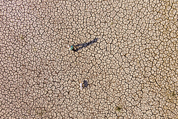 The lake at Kato Scholari, a little outside Thessaloniki, Greece, turned into a desert.