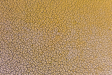 The lake at Kato Scholari, a little outside Thessaloniki, Greece, turned into a desert.