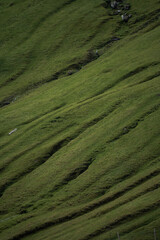 green hill on Faroe Islands 