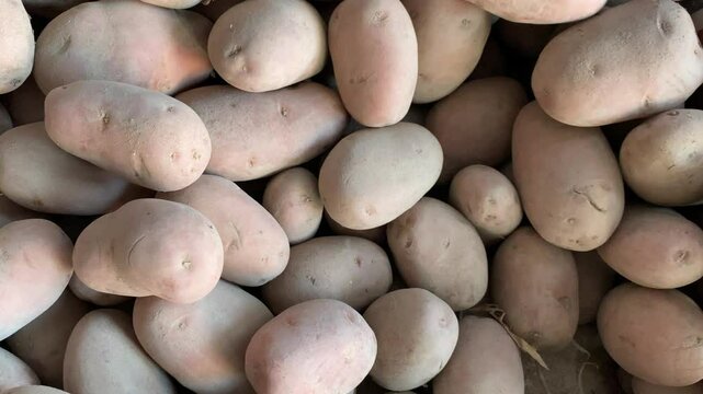 Closeup Horizontal View of Potatoes in a Local Shop in Multan Pakistan