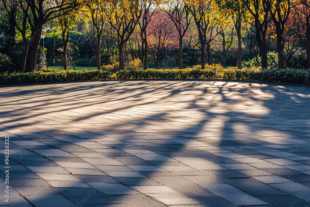 Wall mural A sun-drenched empty driveway, with a repeating circular pattern cast by tree shadows.