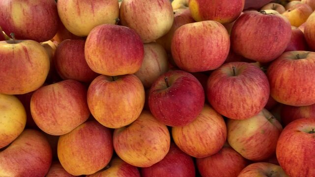 Beautiful Fresh Apples in a Local Shop in Multan Pakistan