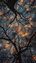Fireworks Through Tree Branches: Nature's Spectacular Light Display - Ideal for Posters and Holiday Cards