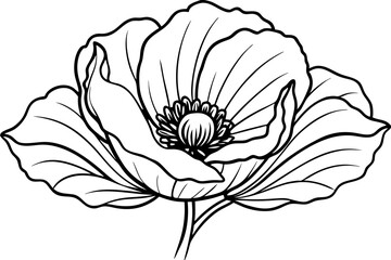 Fototapeta premium Veterans Day, Poppy flower, patriotic flower, AI Generation