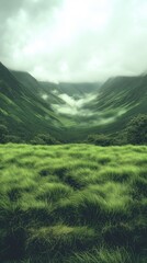 Fototapeta premium Lush green valley, mist-covered mountains, rolling hills, atmospheric light; ideal for nature and la