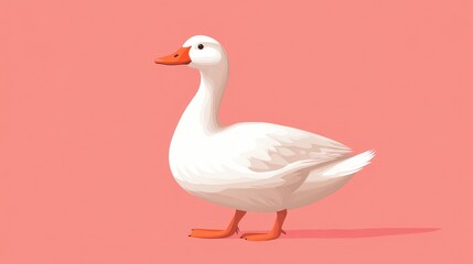 Obraz premium Charming White Duck with Orange Feet and Beak on a Solid Salmon Pink Background