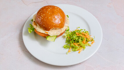 Delicious burger on plate