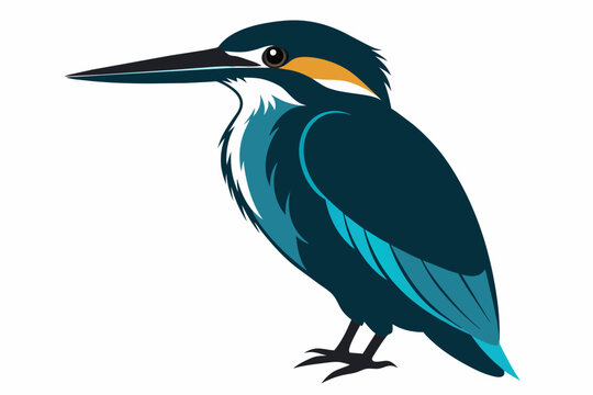 recommend clip art: A silhouette image kingfisher bird vector art illustration