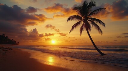   A palm tree rests atop a beach beside the ocean as the sun sets beyond it