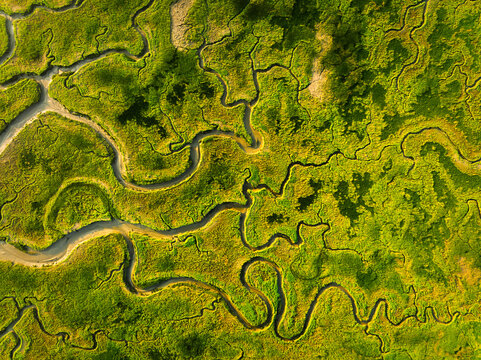 Nature from a drone. Aerial view of a meandering river in a field. Scene from air. Landscape during sunset and soft light. Photo for background and wallpaper.