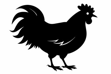  Chicken silhouette black color vector art illustration