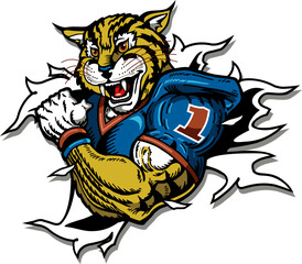 bobcat mascot wearing football jersey ripping through the background for school, college or league sports