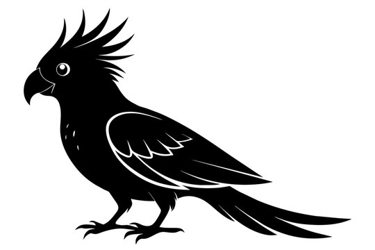 recommend clip art: Cockatiel silhouette black color vector art illustration 