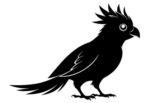 recommend clip art: Cockatiel silhouette black color vector art illustration 