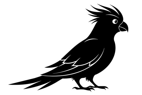 recommend clip art: Cockatiel silhouette black color vector art illustration 