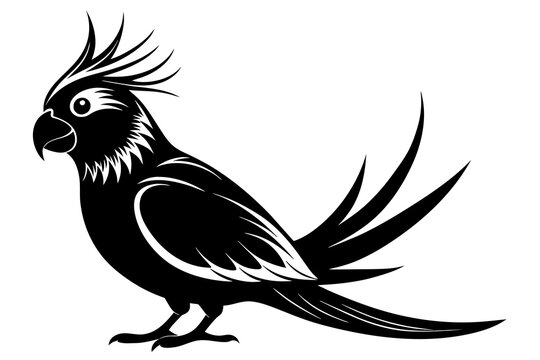 recommend clip art: Cockatiel silhouette black color vector art illustration 