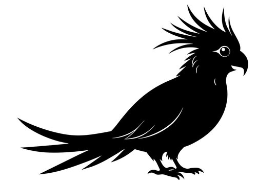 recommend clip art: Cockatiel silhouette black color vector art illustration 