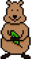 QUOKKA, smile animal, smiling animal, pixel quokka, pixel animal, pixel art quokka, dot quokka, happy quokka, happy animal