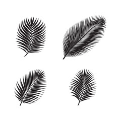 Palm Frond Silhouette Vector Set, Black and White Palm Frond Illustration, Palm Leaf Silhouettes