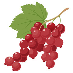 Illustration of a ripe red currant bunch with a green leaf