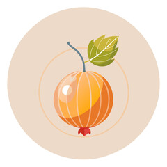 Illustration of a stylized orange peach with a green leaf on a light background.
