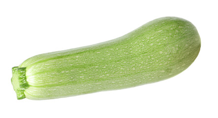 One fresh ripe zucchini isolated on white