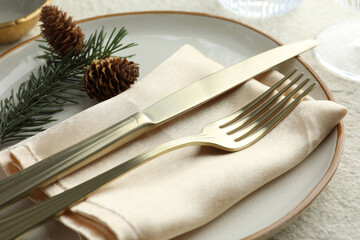 Christmas table setting with plate, cutlery, fir branches and cones, closeup