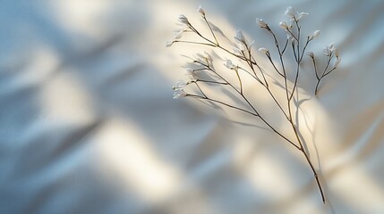 Obraz premium A bamboo wood pattern background image that reflects nature and simplicity.