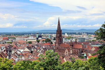 Fototapeta premium Das Freiburger Münster im Sommer
