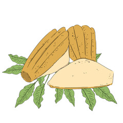 Madeleine cookies three pieces on background with branches and leaves green color illustration raster digital coffee theme for printing and web