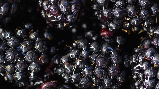 Blackberry berries. Fresh ripe blackberries as background, top view. Juicy ripe black berries in a heap. Texture of blackberries close-up. Slow motion, background rotation.