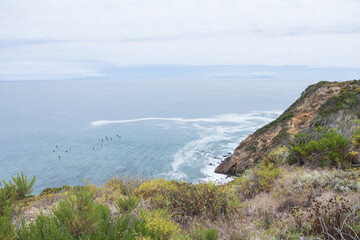 Obraz premium Pt. Dume Natural Preserve overlooking the Pacific Ocean, California