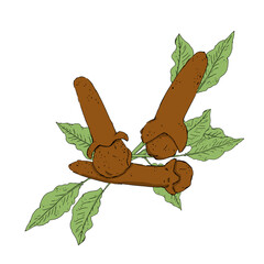 Spice cloves on background with branches and green leaves color illustration raster digital coffee theme for printing and web