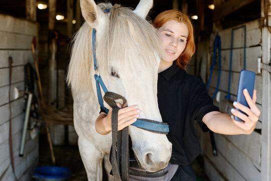 Caucasian woman taking selfie with white horse in stable, showing bond between human and animal, with wooden walls and stable interior as background - Powered by Adobe