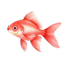 Fototapeta premium A vibrant illustration of a red goldfish, showcasing its colorful scales and graceful fins swimming peacefully. watercolor style