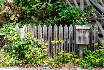 Naklejka premium Wooden fence with mailbox. Broken fences and bushes.