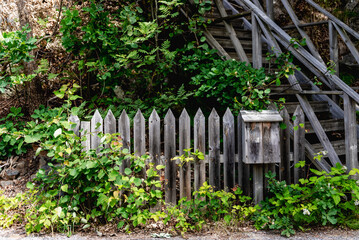 Naklejka premium Wooden fence with mailbox. Broken fences and bushes.