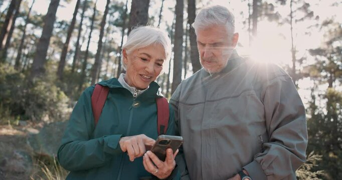 Senior couple, phone and hiking with point, location or search for path, landmark and talking in forest. Mature man, woman and trekking with smartphone, lost and check digital map on app in Italy