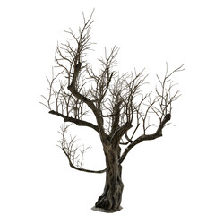 3d render branches tree trunk with transparent background