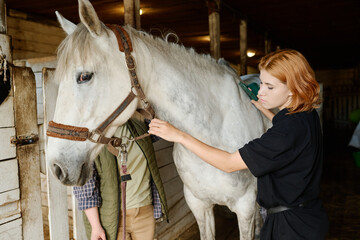 Equestrian caretaker grooming white horse while another individual holding halter in barn with...