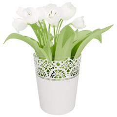 3d render plant in the pot with transparent background