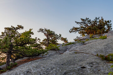 Shawangunk Ridge, New York, USA