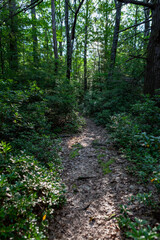 Obraz premium Shawangunk Ridge, New York, USA