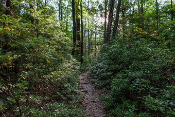 Obraz premium Shawangunk Ridge, New York, USA