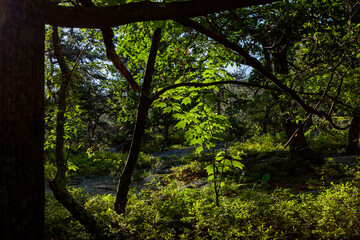 Shawangunk Ridge, New York, USA