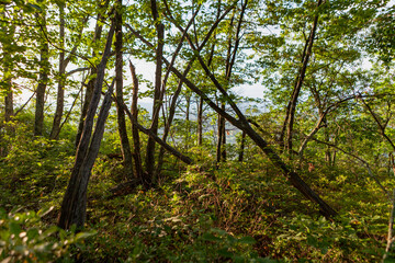 Obraz premium Shawangunk Ridge, New York, USA