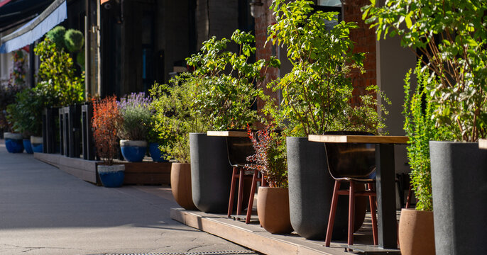 A restaurant features an inviting outdoor seating area lined with vibrant green plants and flowers on a bright, sunny day